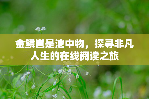 探寻非凡人生的在线阅读之旅图片