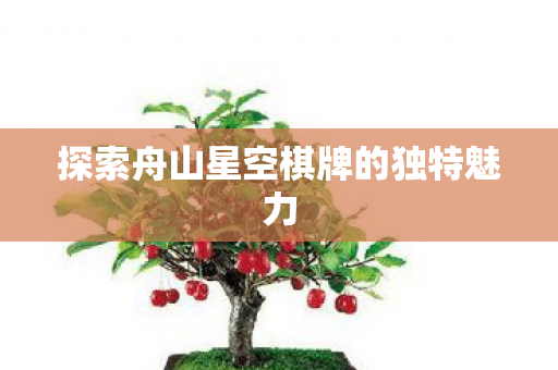 探索舟山星空棋牌的独特魅力图片