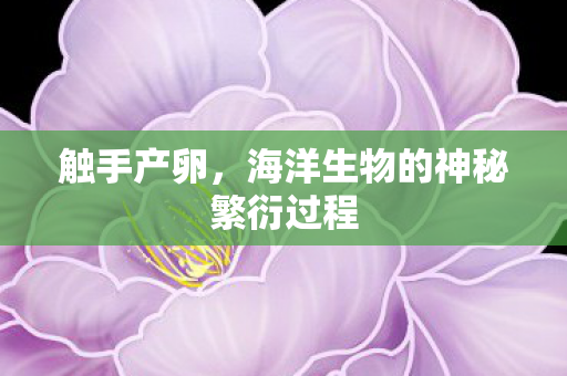 海洋生物的神秘繁衍过程图片