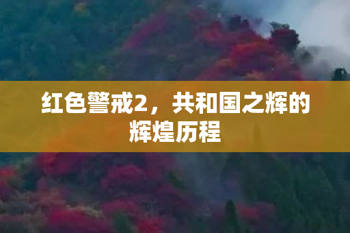 共和国之辉的辉煌历程图片
