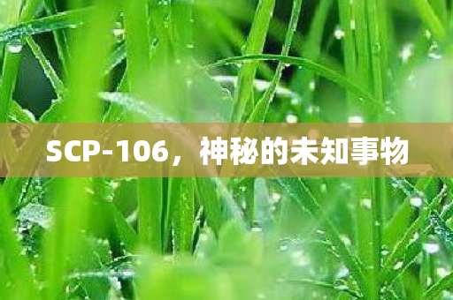 神秘的未知事物图片