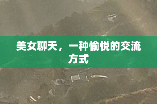 一种愉悦的交流方式图片