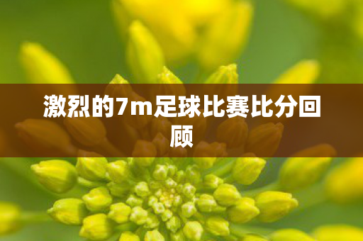 激烈的7m足球比赛比分回顾图片