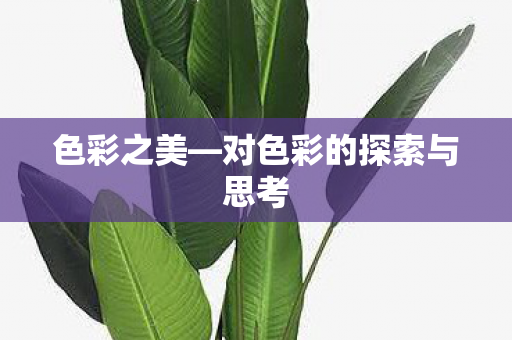 对色彩的探索与思考图片
