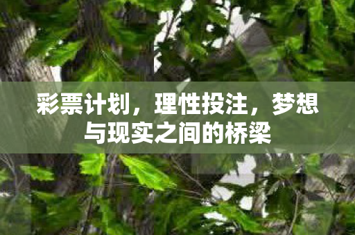 梦想与现实之间的桥梁图片