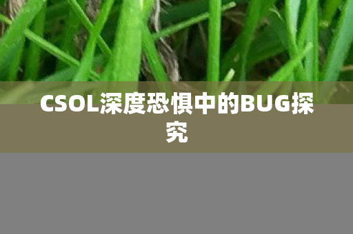 CSOL深度恐惧中的BUG探究图片