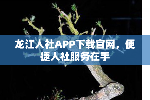 龙江人社APP下载官网图片