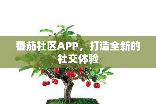 打造全新的社交体验图片