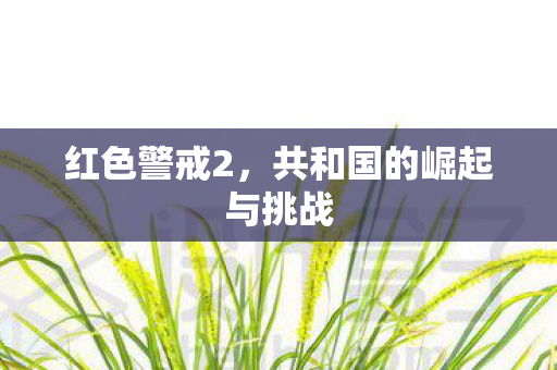 共和国的崛起与挑战图片