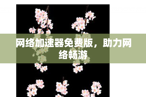 网络加速器免费版图片