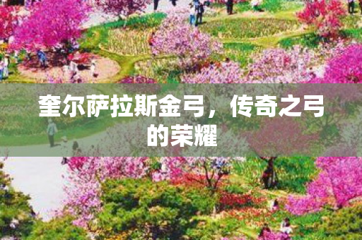 奎尔萨拉斯金弓图片