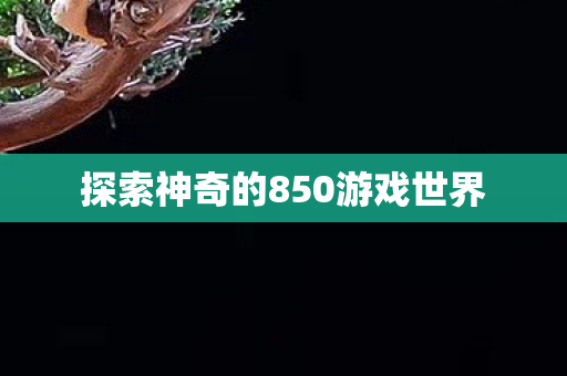 探索神奇的850游戏世界图片