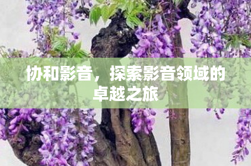 探索影音领域的卓越之旅图片