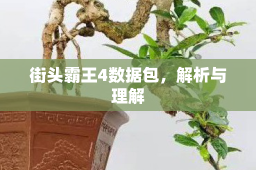 街头霸王4数据包图片