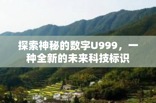 探索神秘的数字U999图片