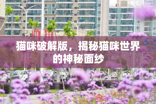 揭秘猫咪世界的神秘面纱图片