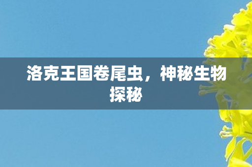 洛克王国卷尾虫图片