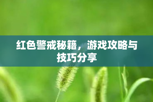 游戏攻略与技巧分享图片