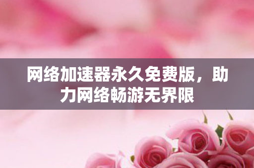 网络加速器永久免费版图片