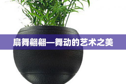 舞动的艺术之美图片