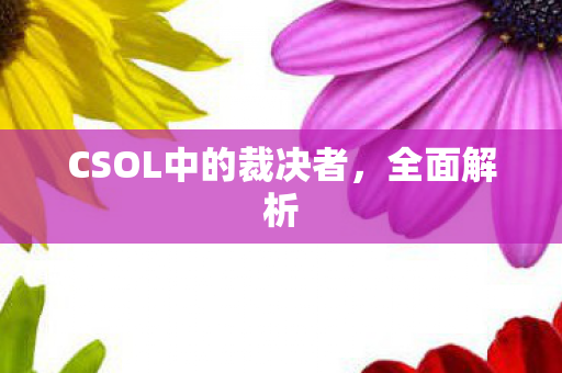 CSOL中的裁决者图片