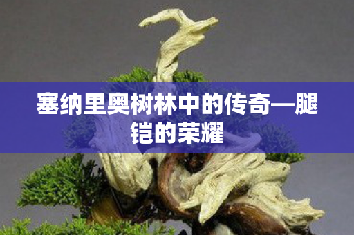 塞纳里奥树林中的传奇图片