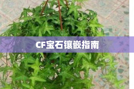CF宝石镶嵌指南图片