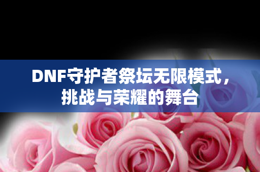 DNF守护者祭坛无限模式图片