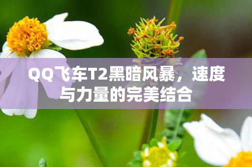 QQ飞车T2黑暗风暴图片