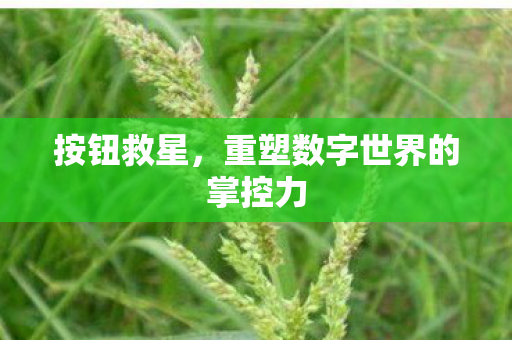 重塑数字世界的掌控力图片