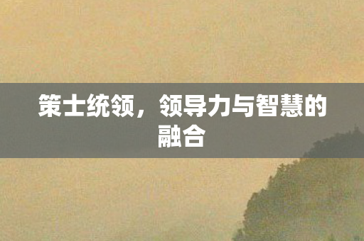 领导力与智慧的融合图片