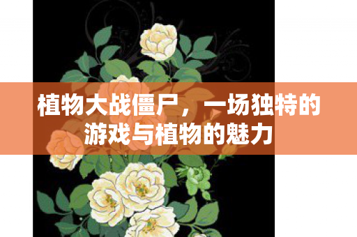 一场独特的游戏与植物的魅力图片