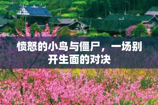 一场别开生面的对决图片