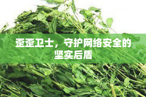 守护网络安全的坚实后盾图片