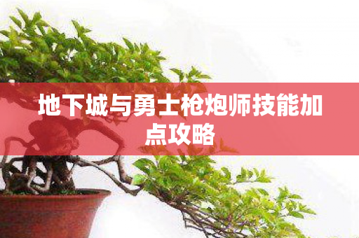 地下城与勇士枪炮师技能加点攻略图片