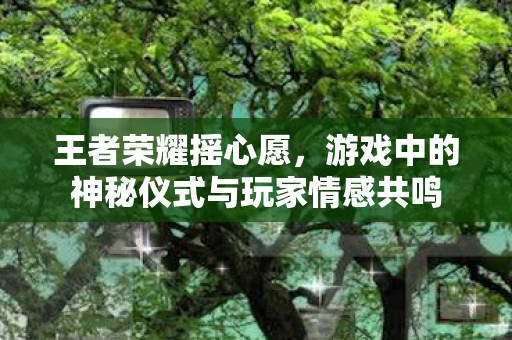 游戏中的神秘仪式与玩家情感共鸣图片