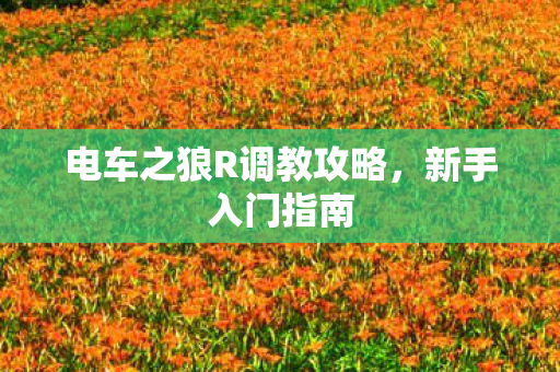 电车之狼R调教攻略图片