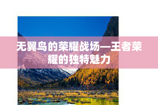 王者荣耀的独特魅力图片