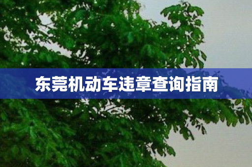东莞机动车违章查询指南图片