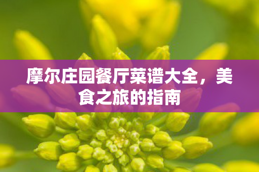 摩尔庄园餐厅菜谱大全图片