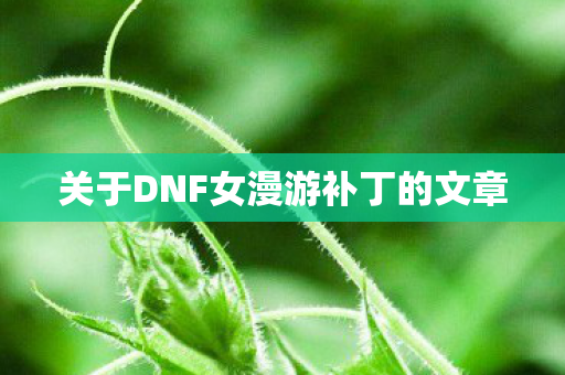 关于DNF女漫游补丁的文章图片