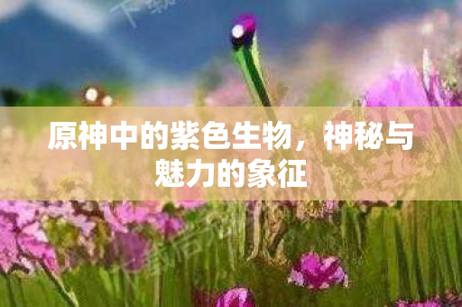 原神中的紫色生物图片