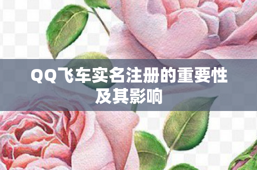 QQ飞车实名注册的重要性及其影响图片
