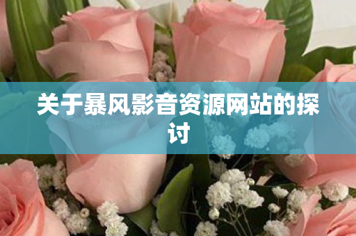 关于暴风影音资源网站的探讨图片