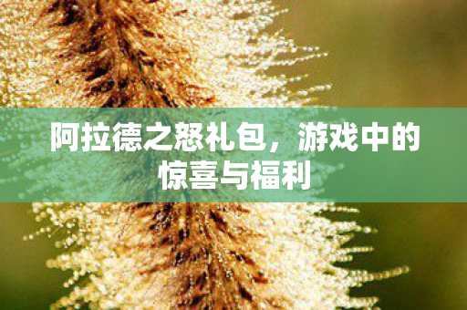 游戏中的惊喜与福利图片