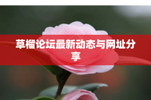 草榴论坛最新动态与网址分享图片