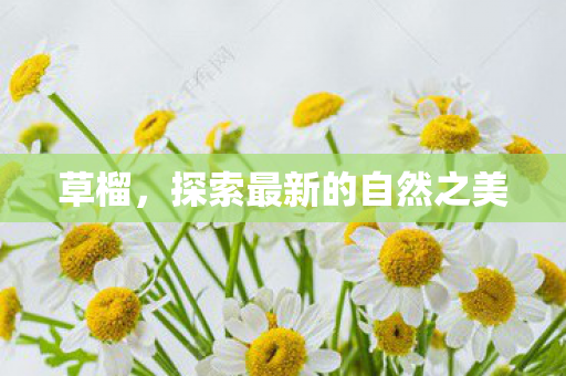 探索最新的自然之美图片