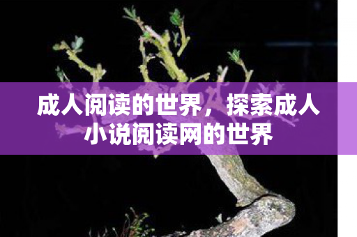 探索成人小说阅读网的世界图片