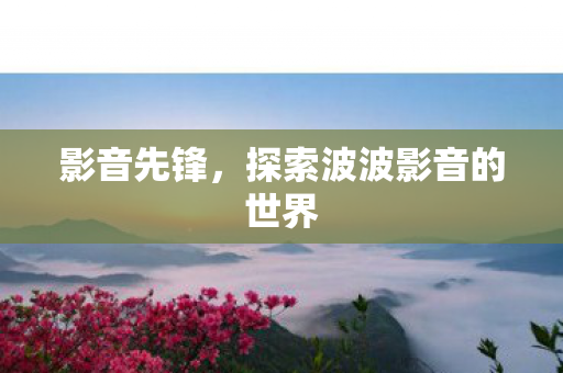 探索波波影音的世界图片