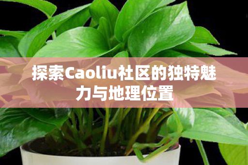 探索Caoliu社区的独特魅力与地理位置图片